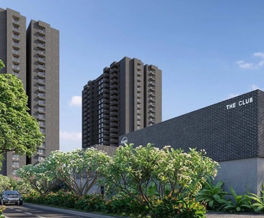 assetz-trees-and-tandem-banner